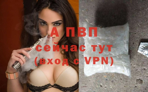 apvp Алексин