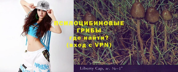 бошки Алзамай