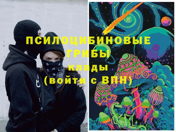 мяу мяу мука Абаза