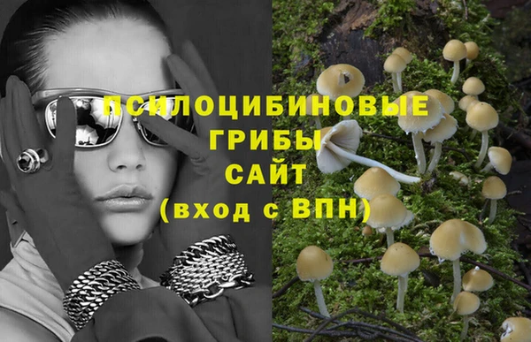 apvp Алексин