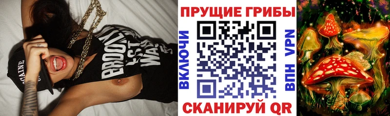 Псилоцибиновые грибы Psilocybe  Каменск-Уральский 