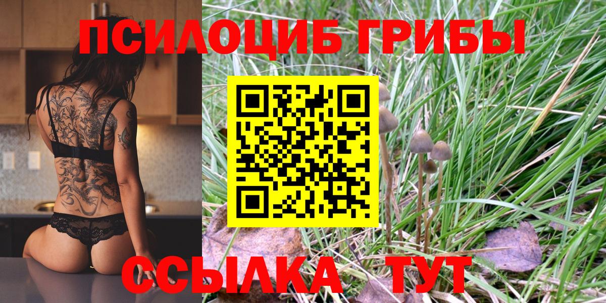 Галлюциногенные грибы Psilocybe Каменск-Уральский